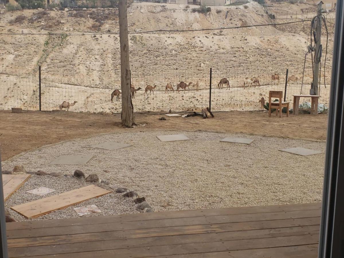 Moonlight Suite Arad צימר אור הירח, ערד Kültér fotó